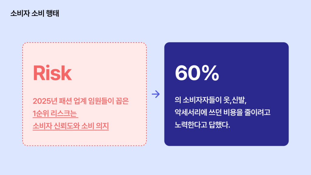 2025 패션 산업 소비자 행태